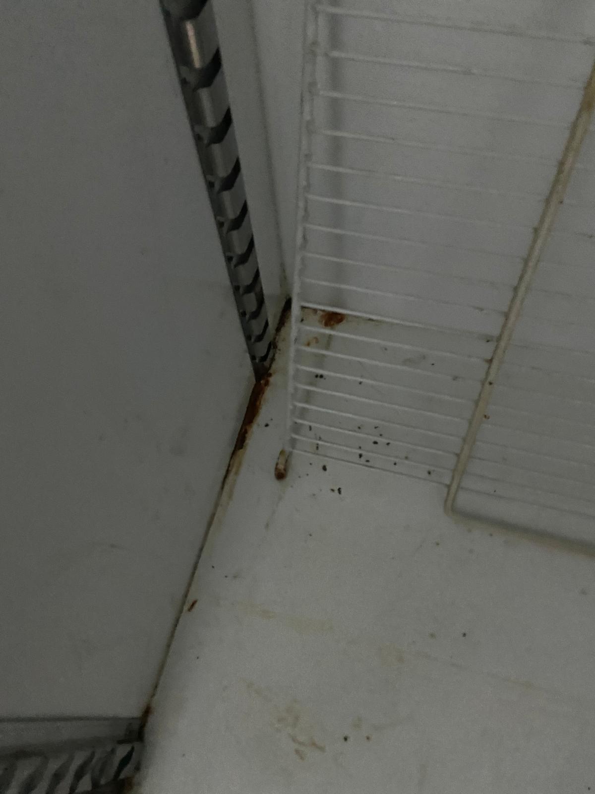 controale anpc piedone timisoara (58)