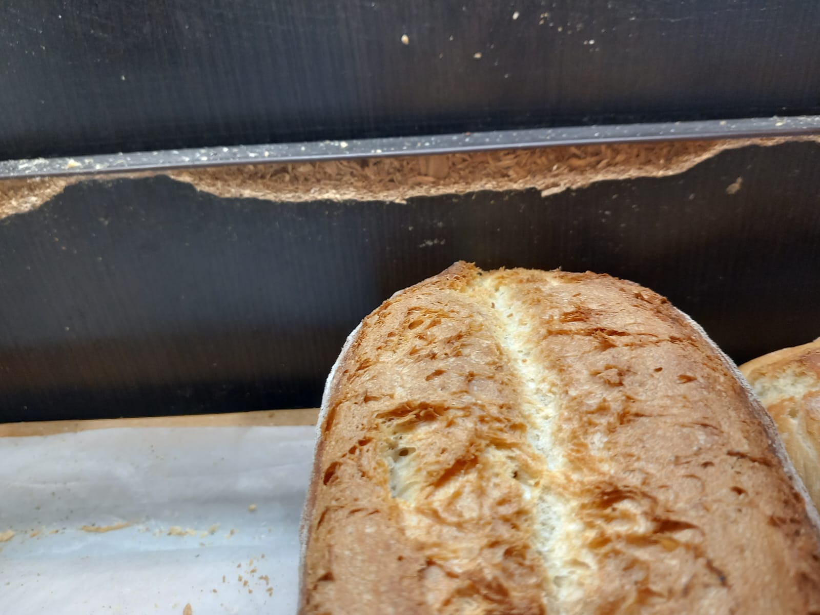 controale anpc piedone timisoara (64)