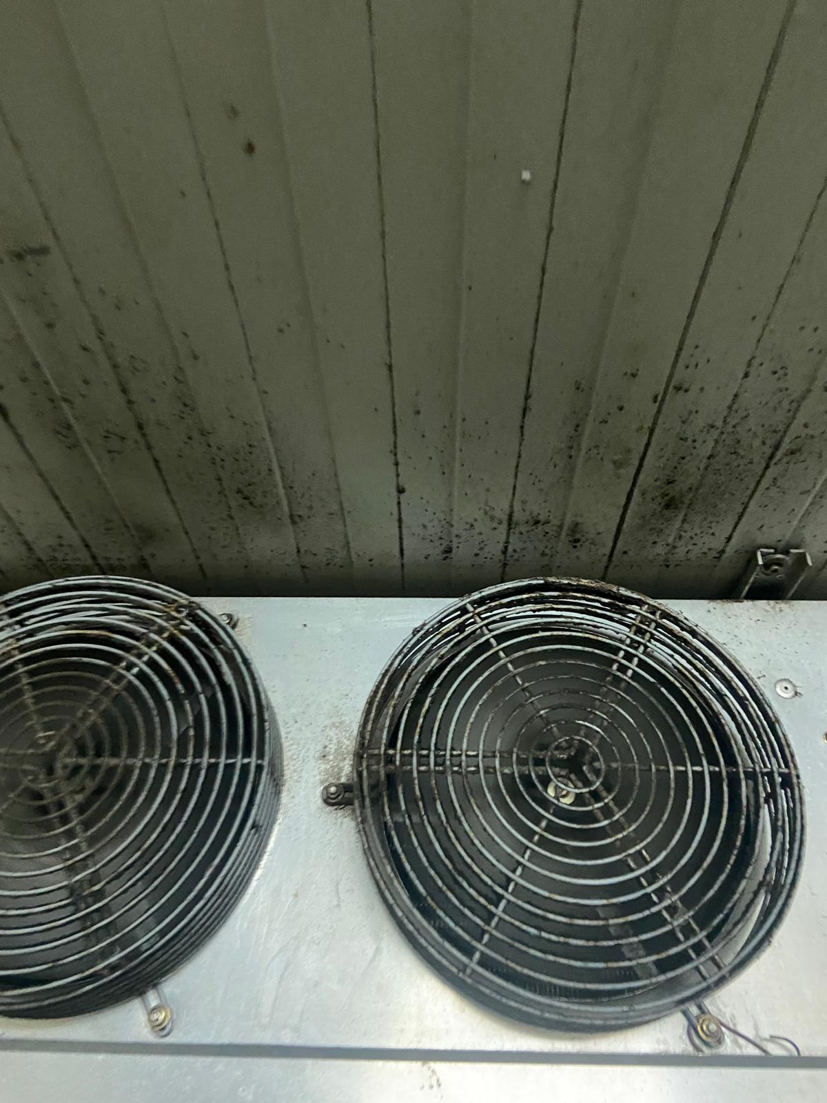 controale anpc piedone timisoara (66)