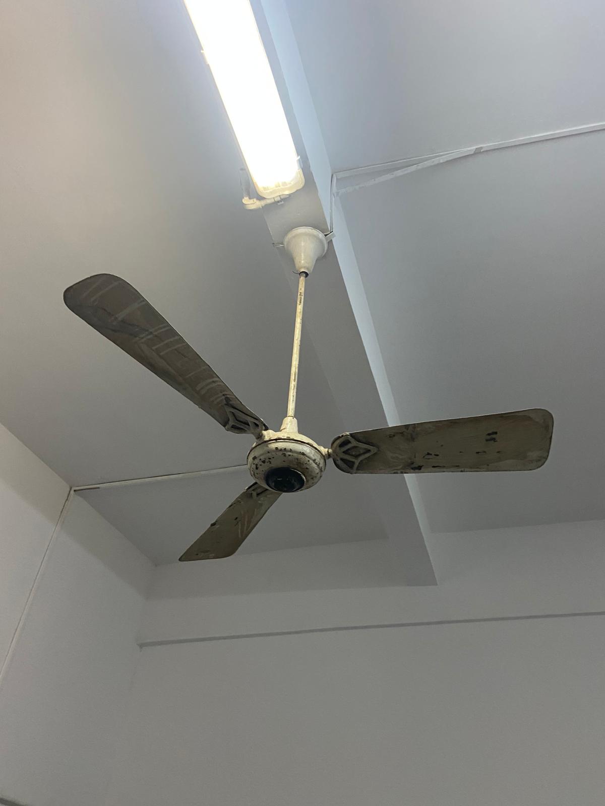 controale anpc piedone timisoara (71)