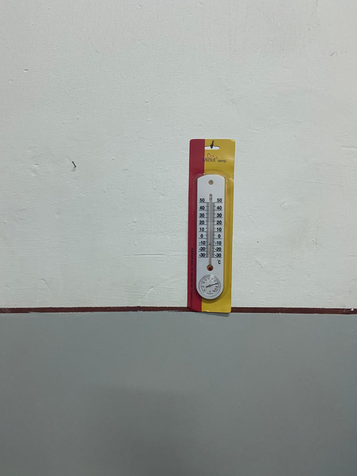 controale anpc piedone timisoara (72)