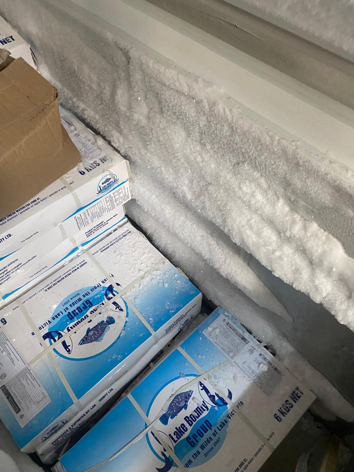 controale anpc piedone timisoara (74)