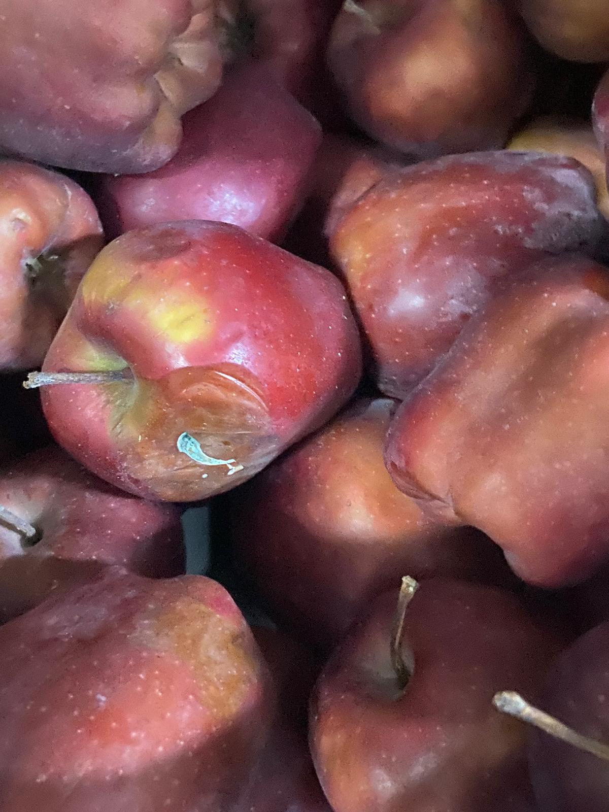 controale anpc piedone timisoara (78)