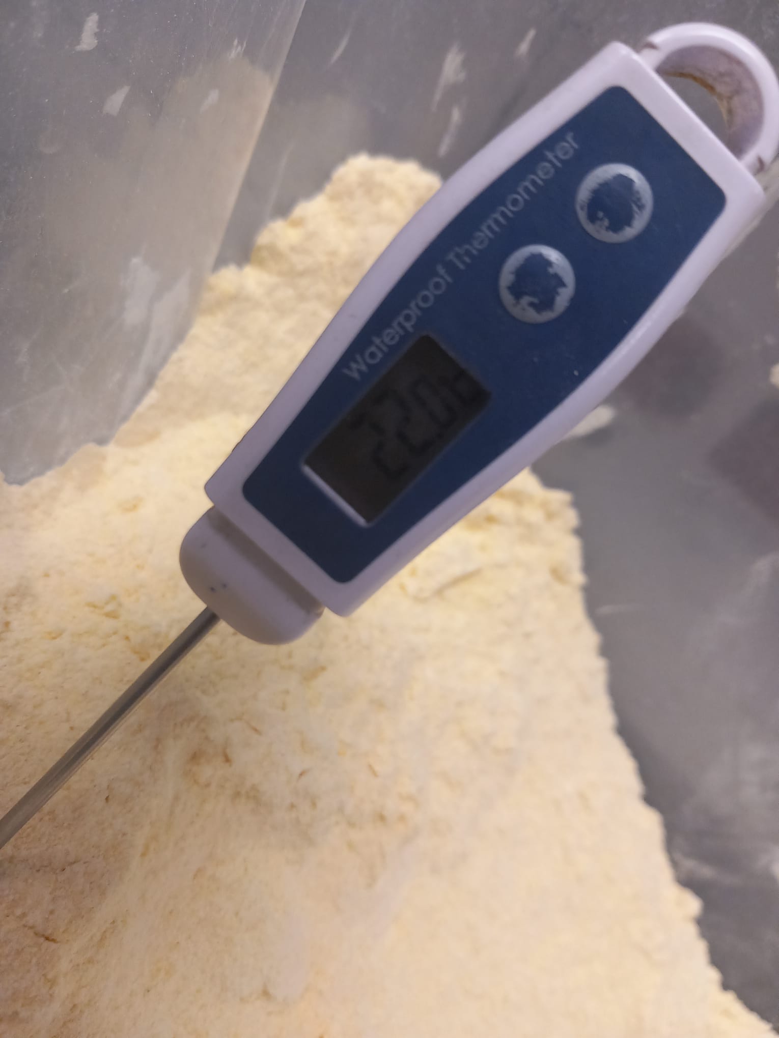 controale anpc piedone timisoara (81)