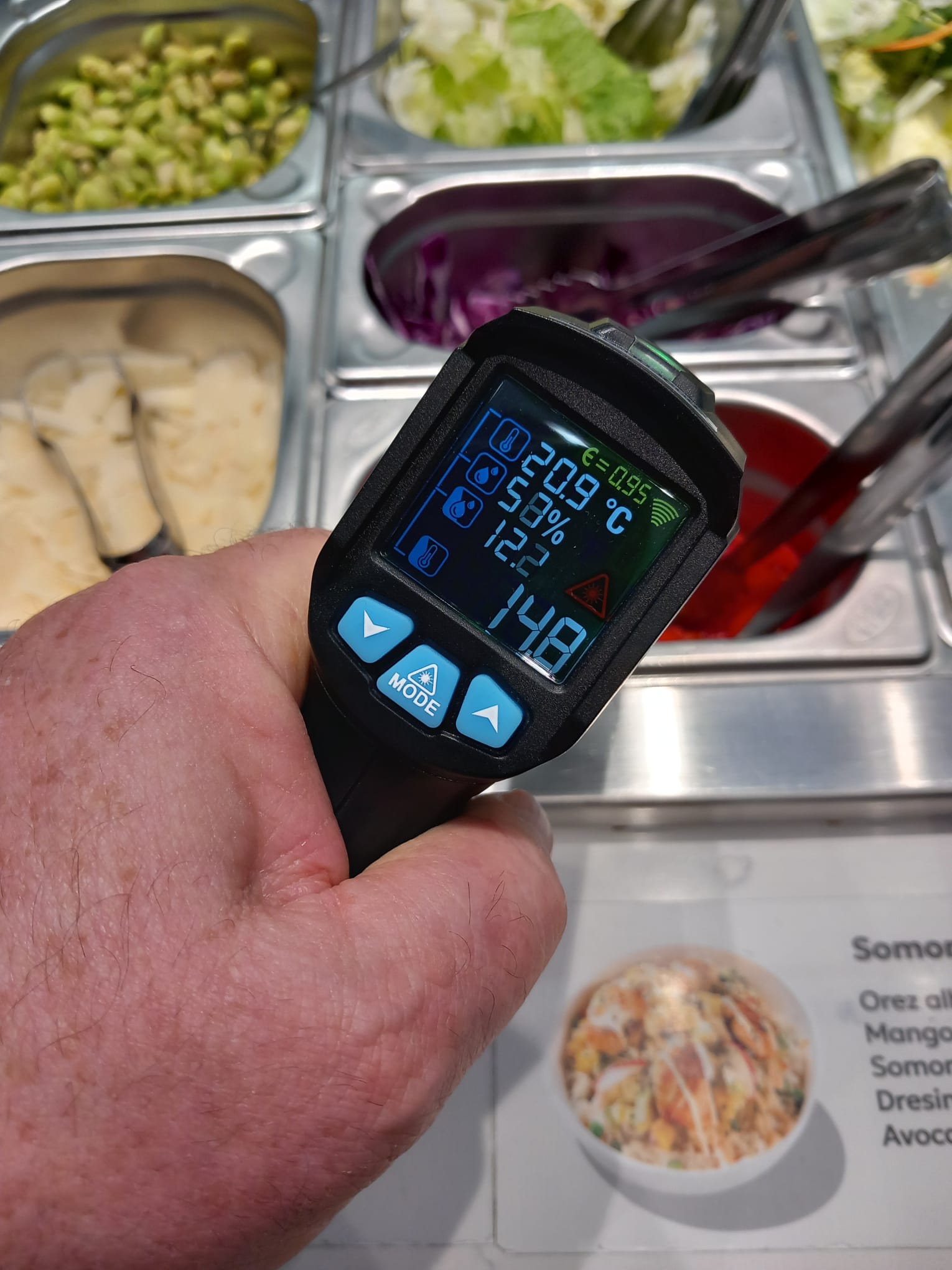 controale anpc piedone timisoara (90)