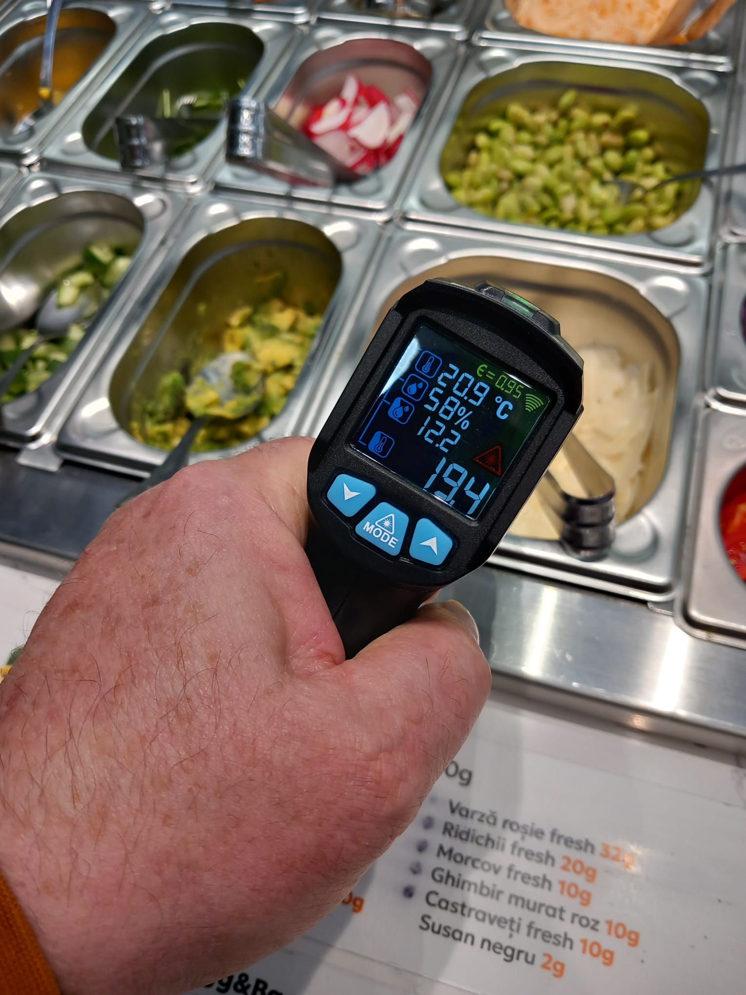 controale anpc piedone timisoara (91)