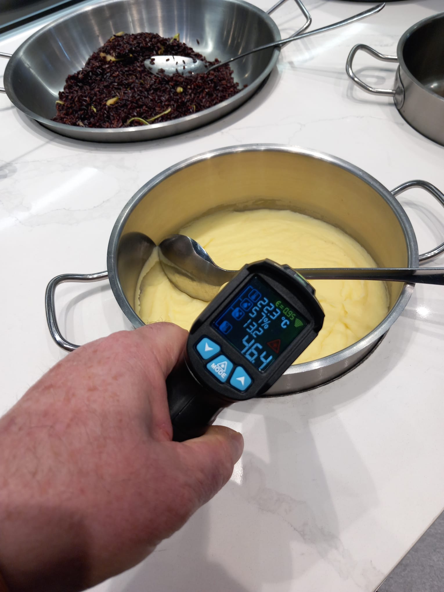 controale anpc piedone timisoara (92)