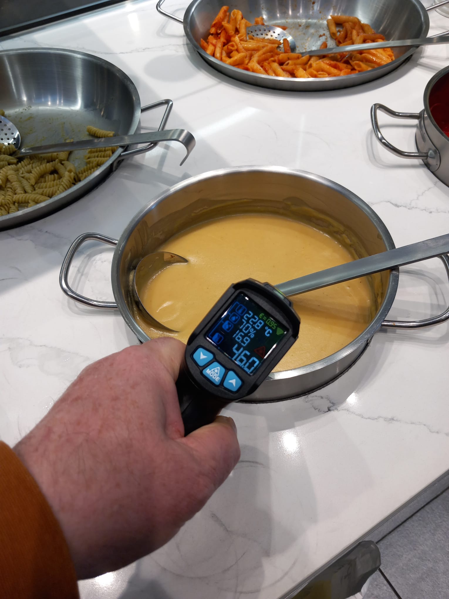 controale anpc piedone timisoara (93)