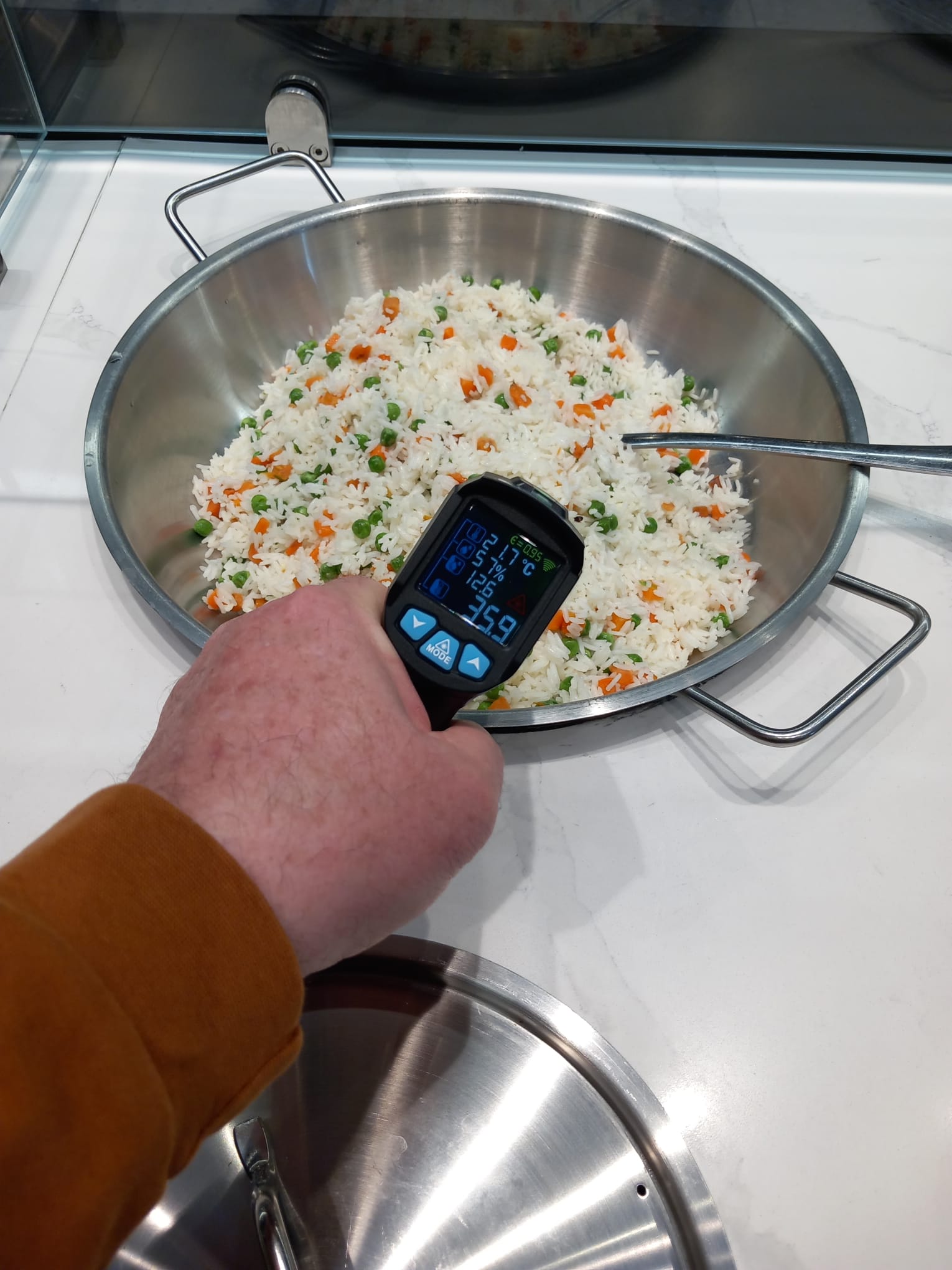 controale anpc piedone timisoara (95)