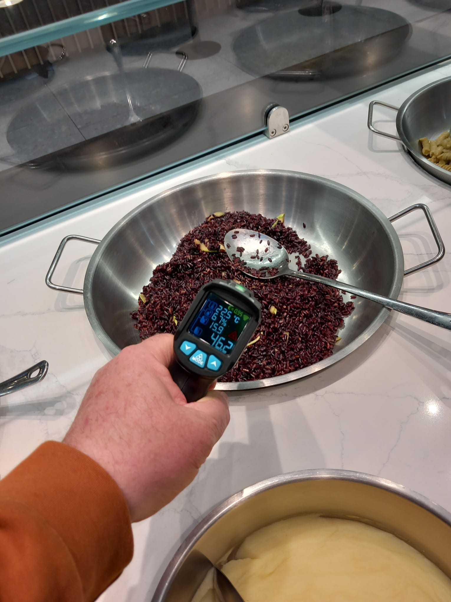 controale anpc piedone timisoara (96)