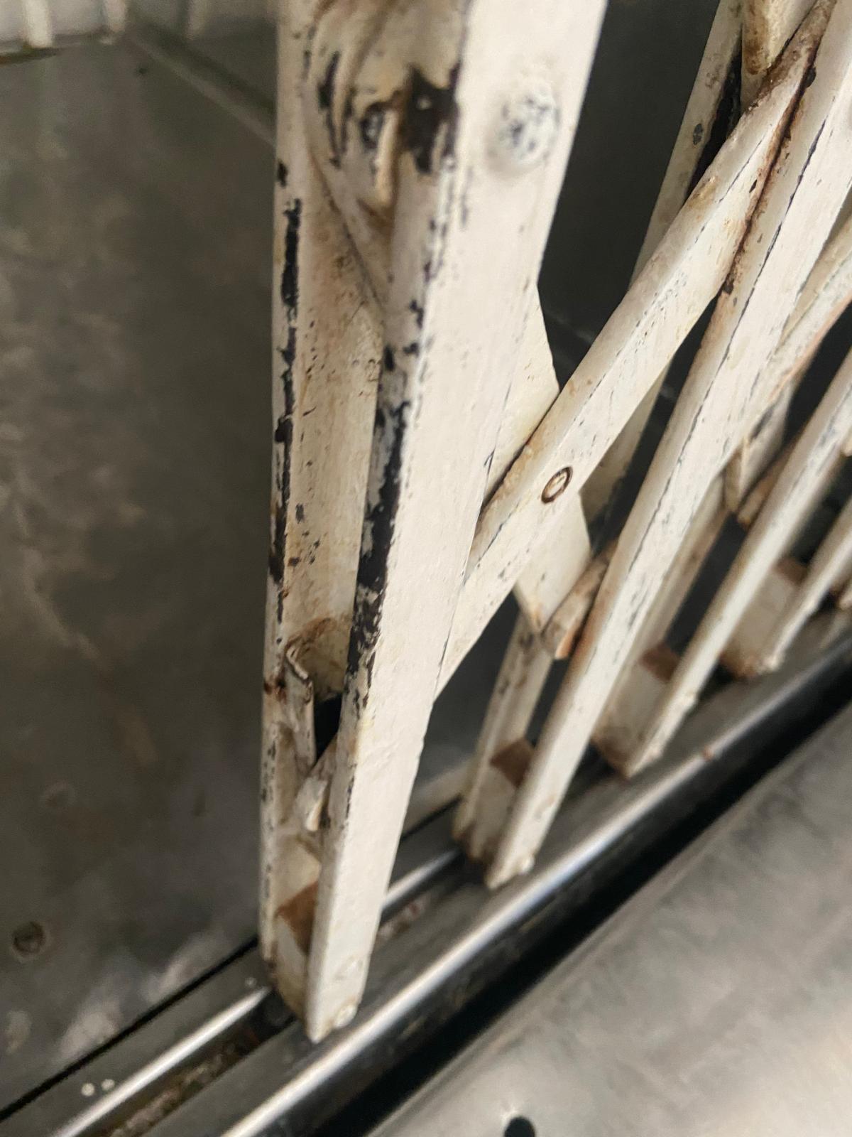 controale anpc piedone timisoara (100)