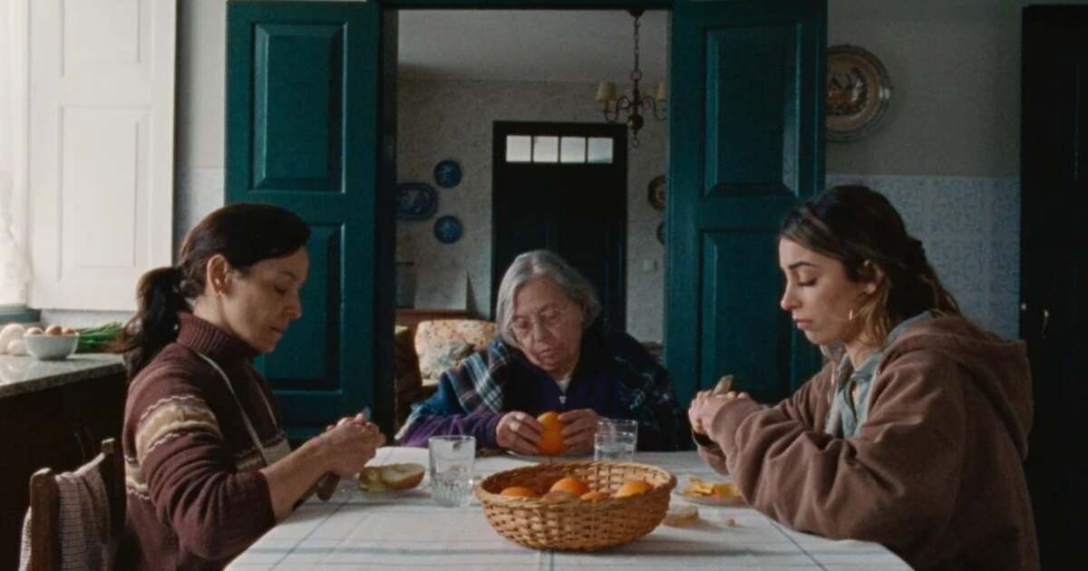 Primul festival de film în limba portugheză se desfășoară la Timișoara. Primul festival de film în limba portugheză se desfășoară la Timișoara.