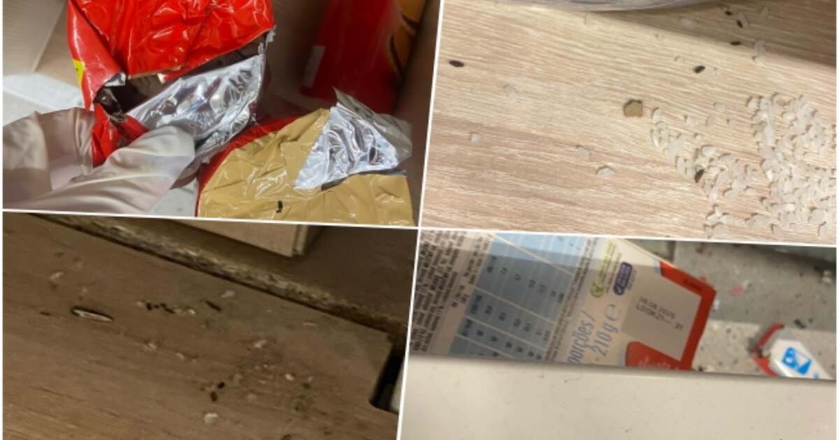 Reduceri la Lidl Lugoj transformate în surprize neplăcute. Magazinul închis de OPC. Reduceri la Lidl Lugoj transformate în surprize neplăcute. Magazinul închis de OPC.