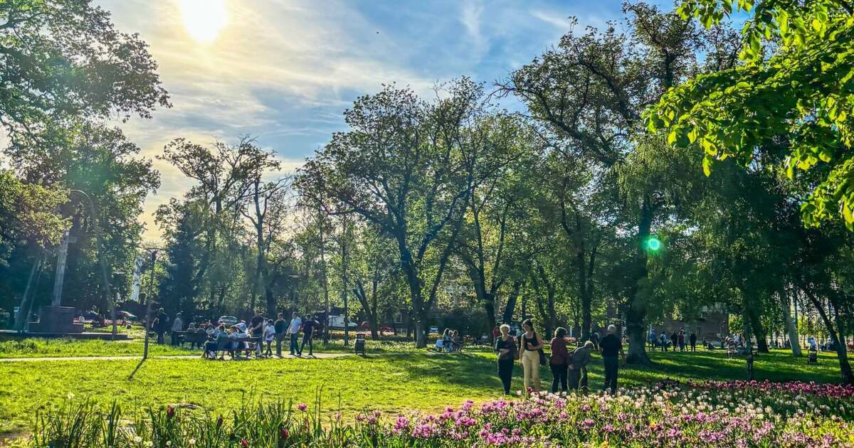 Ce activități interesante ne așteaptă astăzi, 12 mai 2025, în Timișoara? Ce activități interesante ne așteaptă astăzi, 12 mai 2025, în Timișoara?