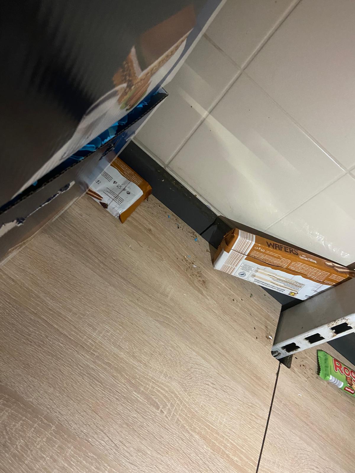 control opc soareci (2)