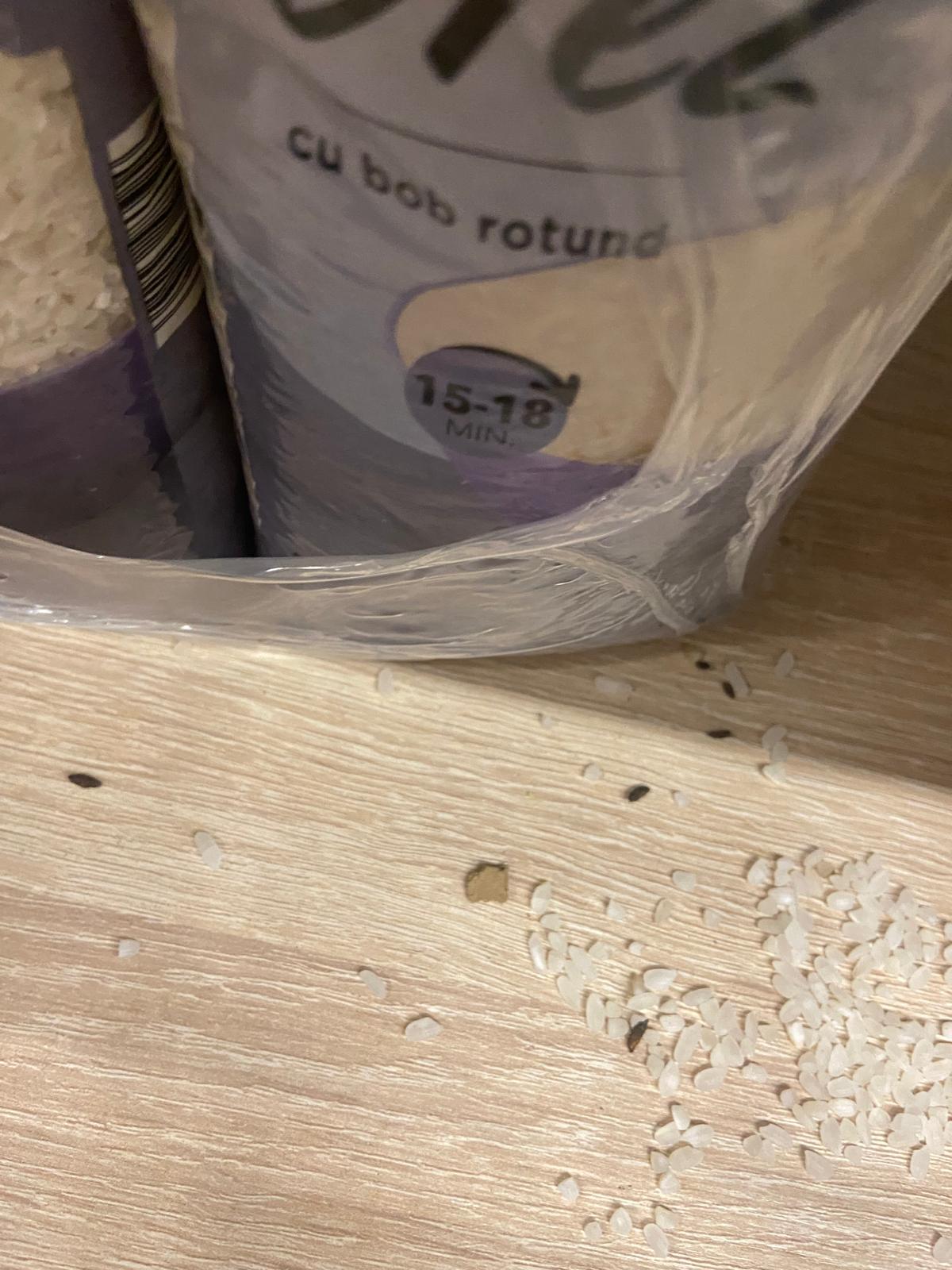 control opc soareci (11)