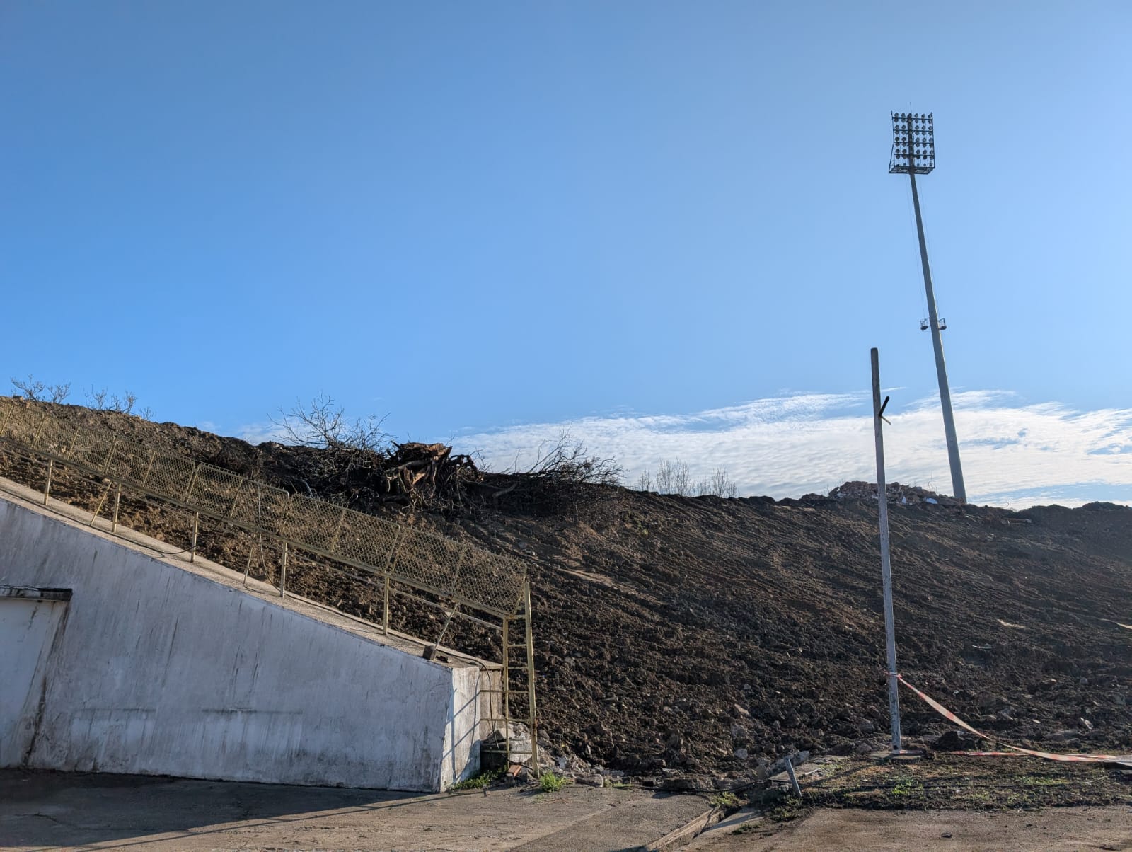 dan paltinisanu (16)