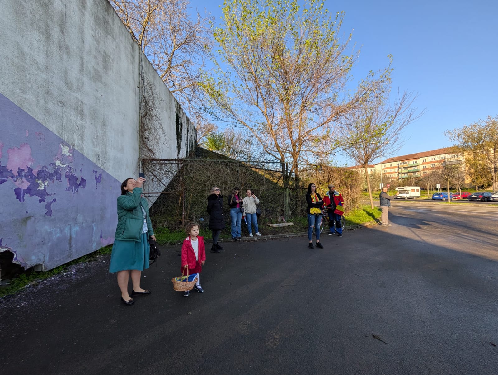 dan paltinisanu (19)