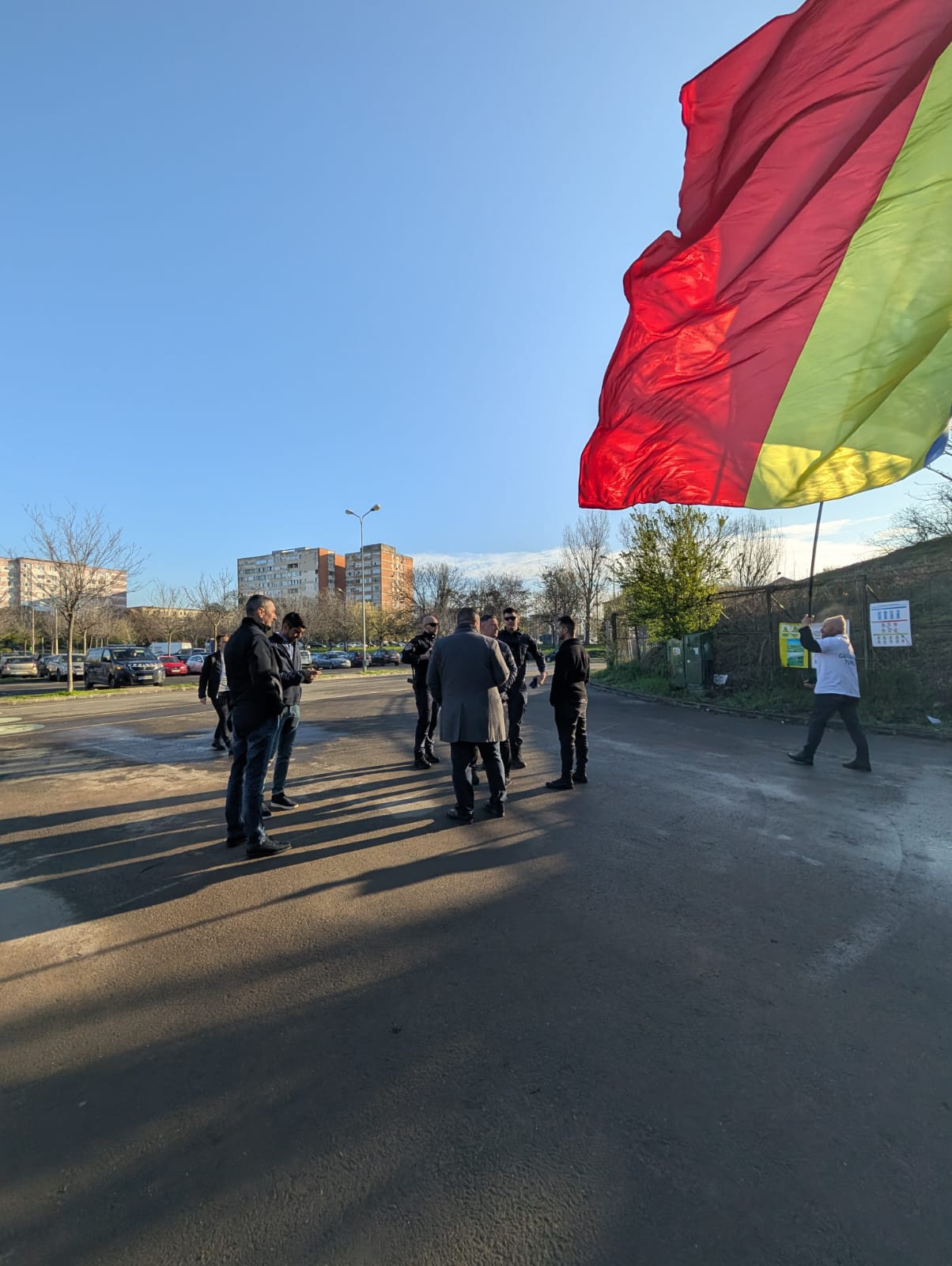 stegarul timisorean1