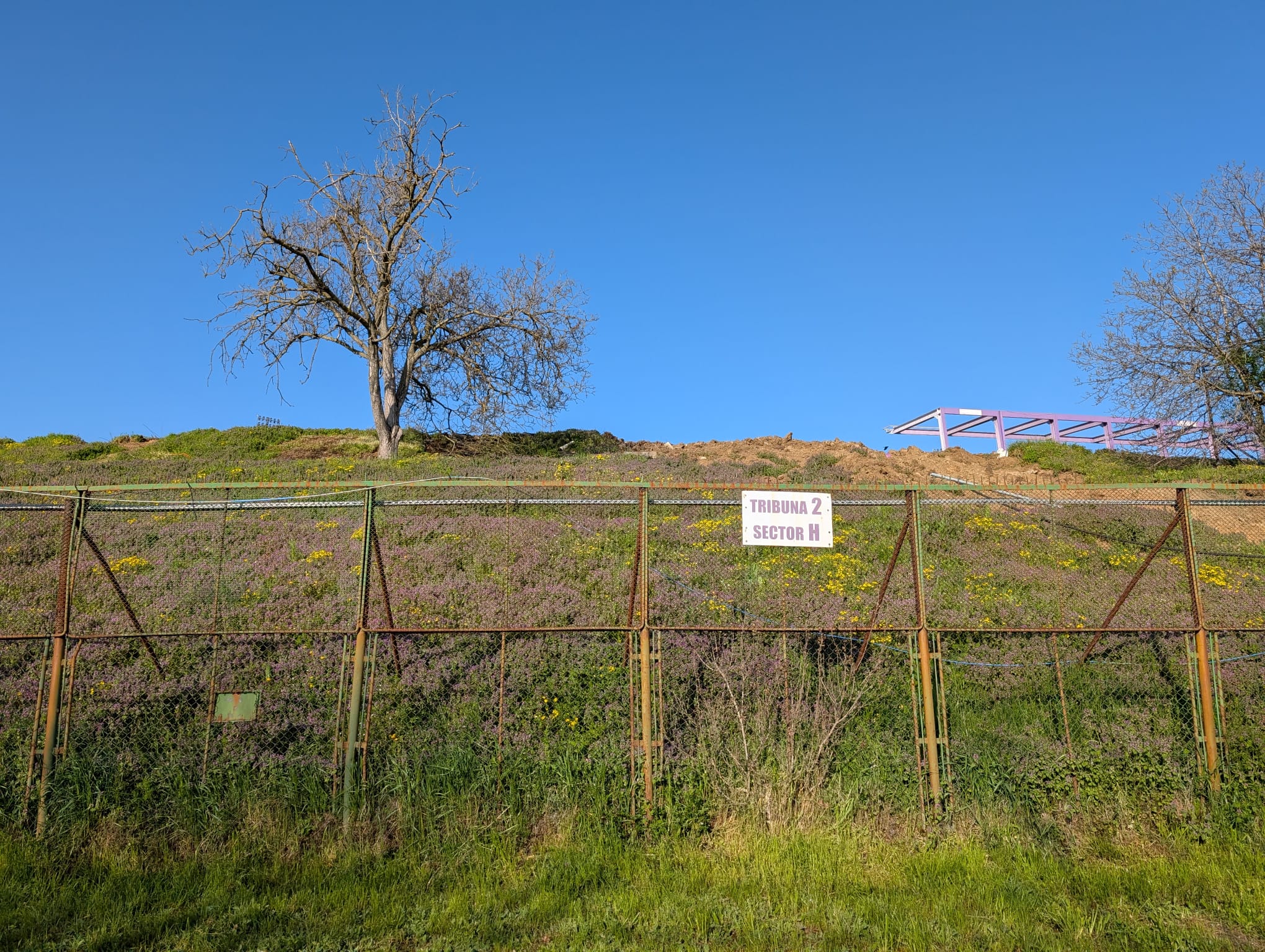 dan paltinisanu stadion ciolacu (5)