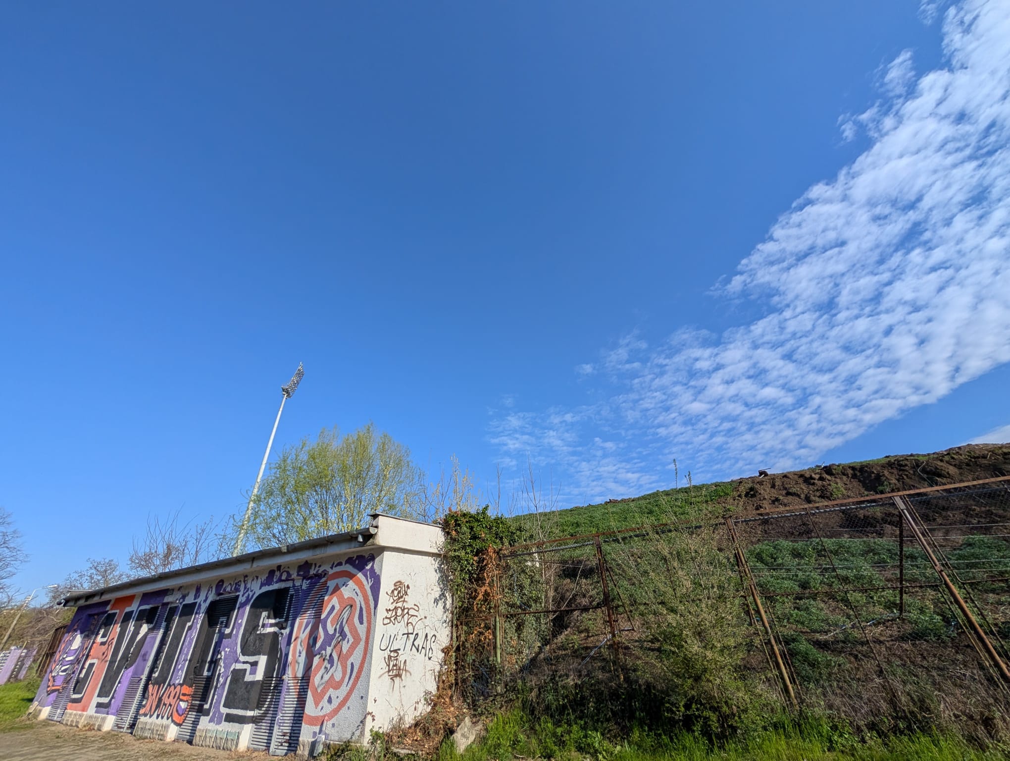 stadion dan paltinisanu (3)