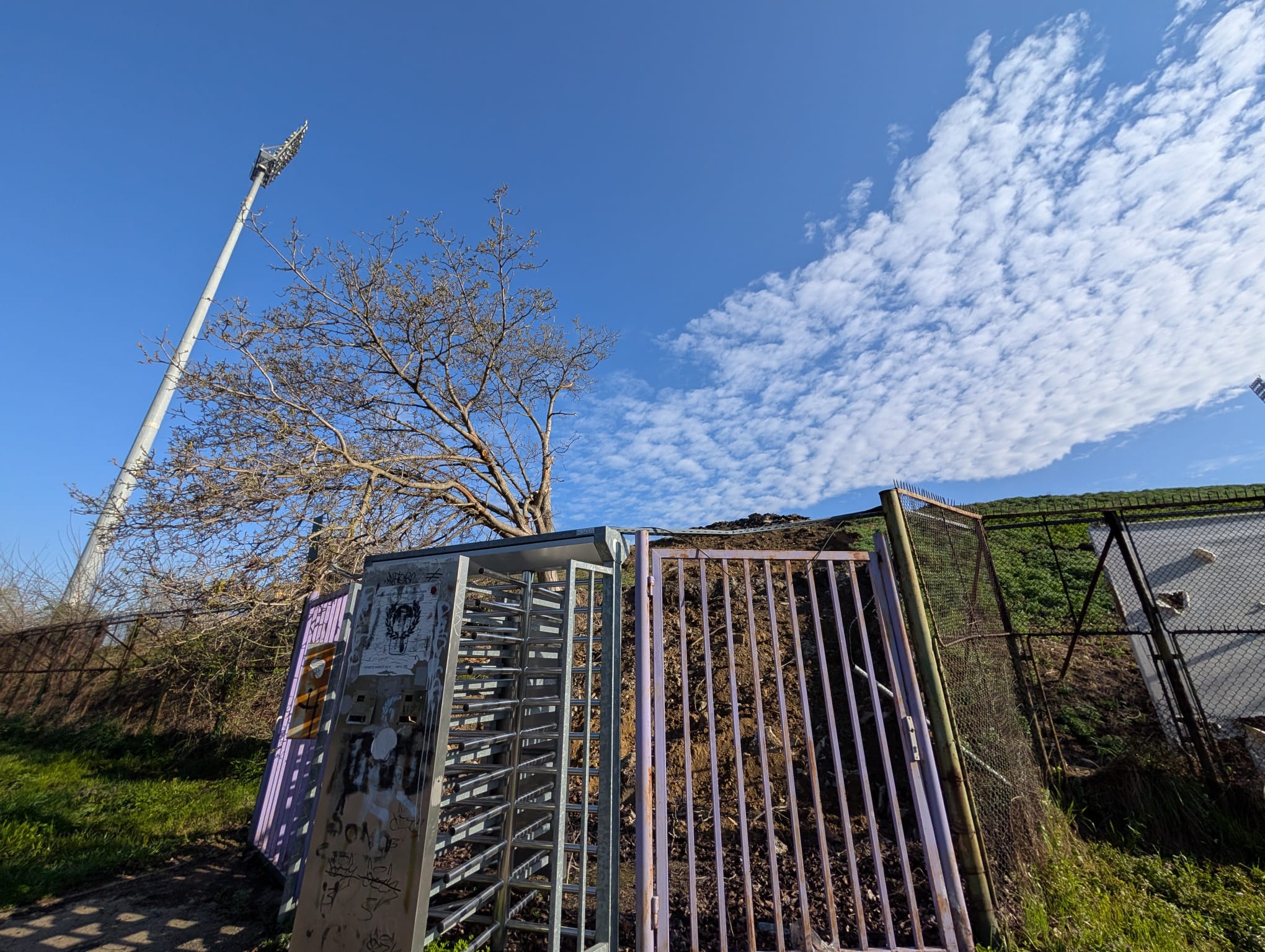 stadion dan paltinisanu (2)