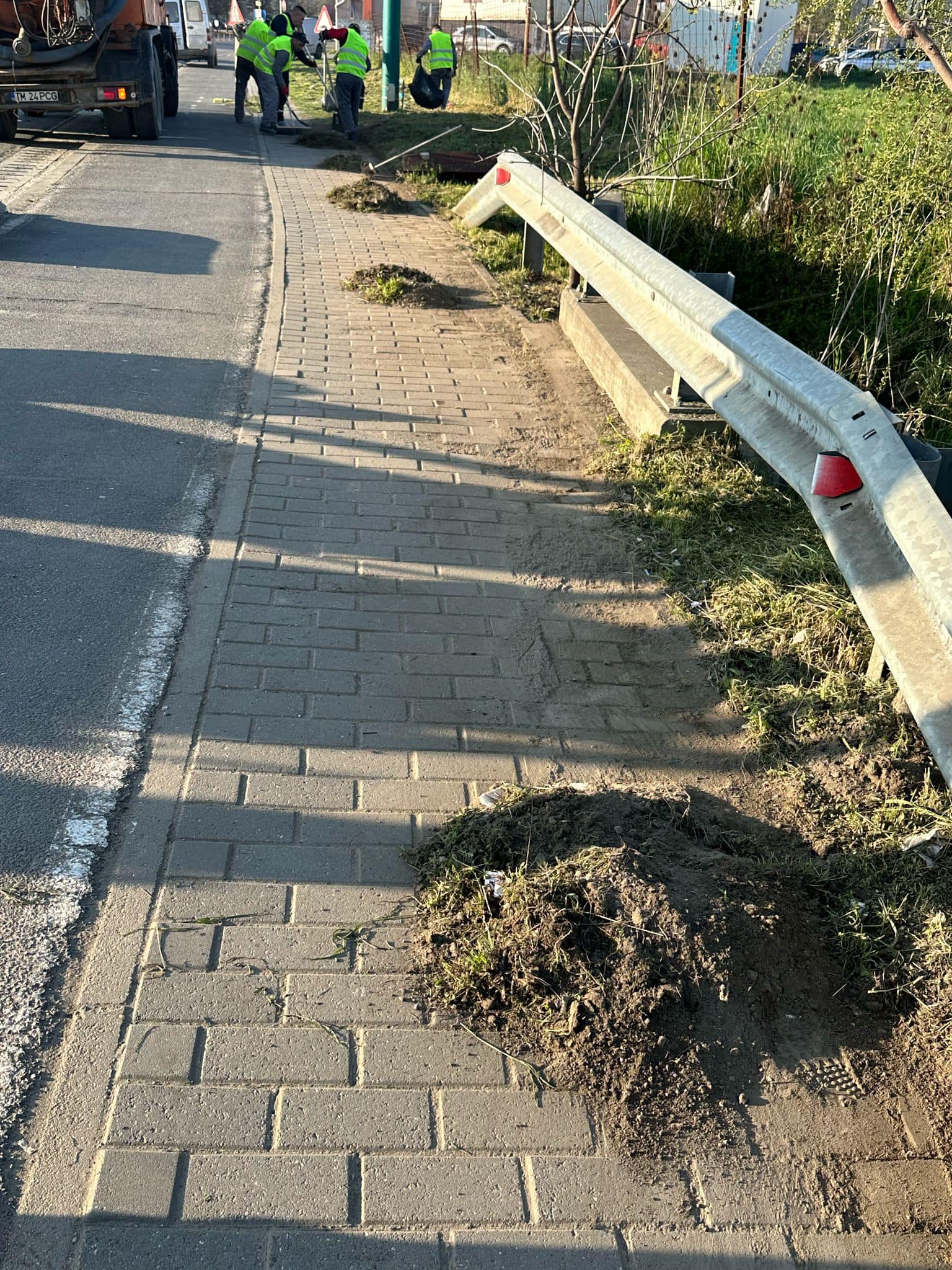 Calea Timisoarei Giroc (3)