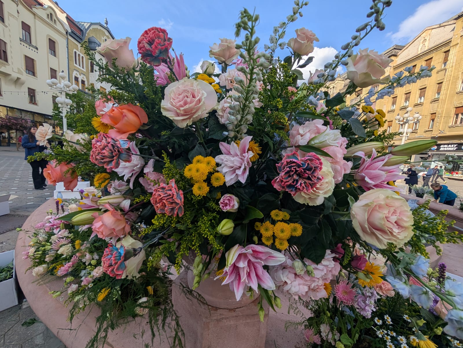 fantana cu pesti florii (4)