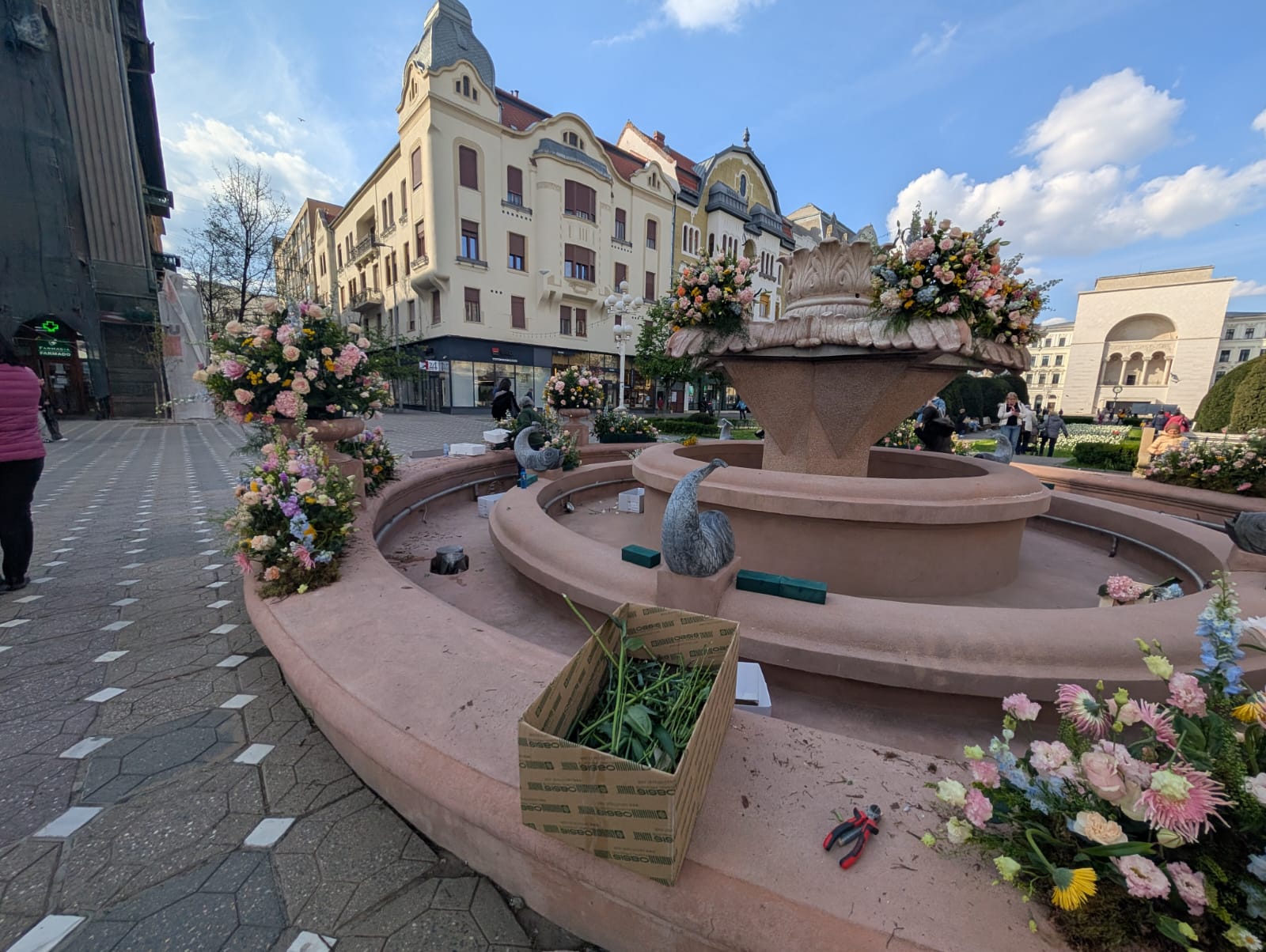 fantana cu pesti florii (5)