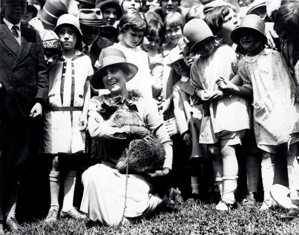 fc496d099dcf4a178d4a36c62ec588f0