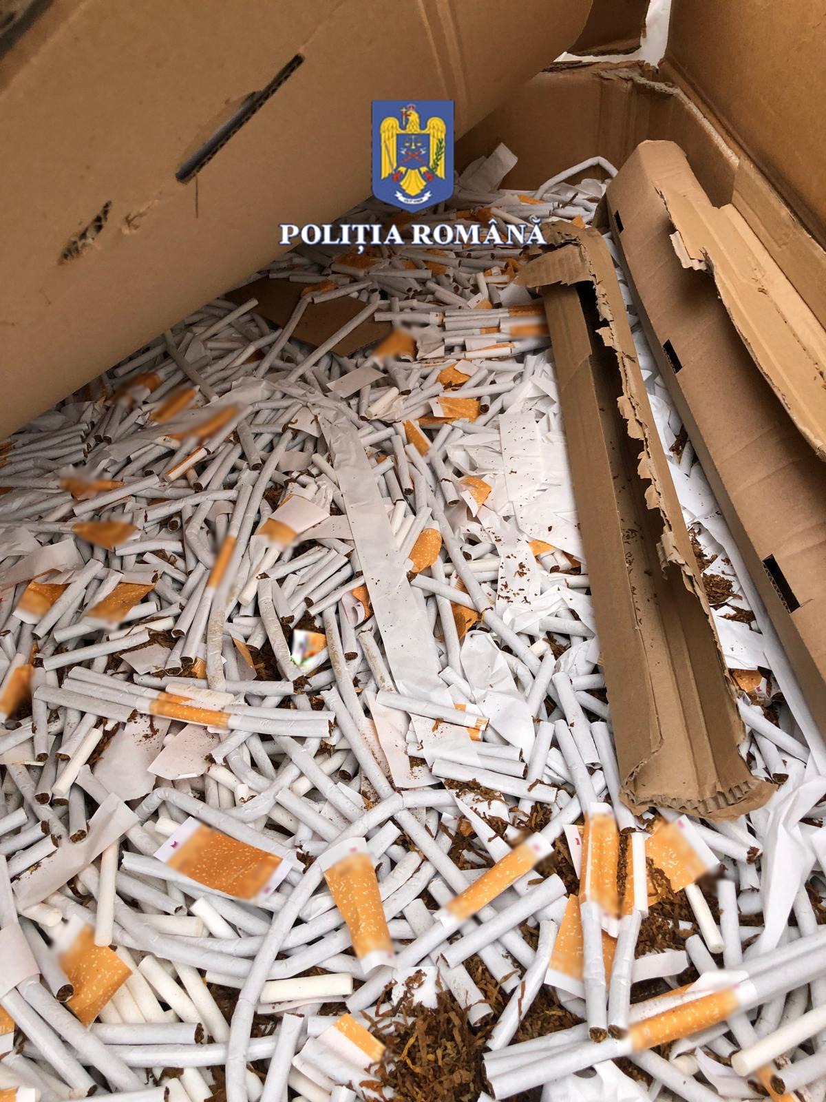 contrabanda tigari bechicherecu mic (1)