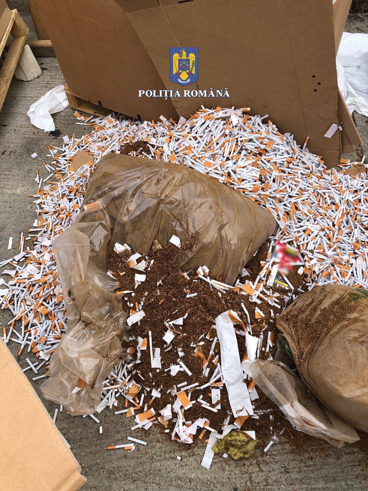 Contrabandă țigări la Becicherecu Mic