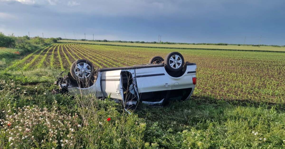 Patru polițiști de frontieră din Timiș salvează un șofer răsturnat pe câmp Patru polițiști de frontieră din Timiș salvează un șofer răsturnat pe câmp