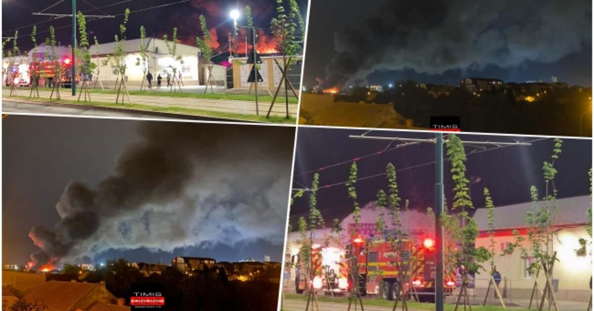 Incendiu devastator în Timișoara: mai multe garaje din zona Stan Vidrighin, cuprinse de flăcări. Incendiu devastator în Timișoara: mai multe garaje din zona Stan Vidrighin, cuprinse de flăcări.