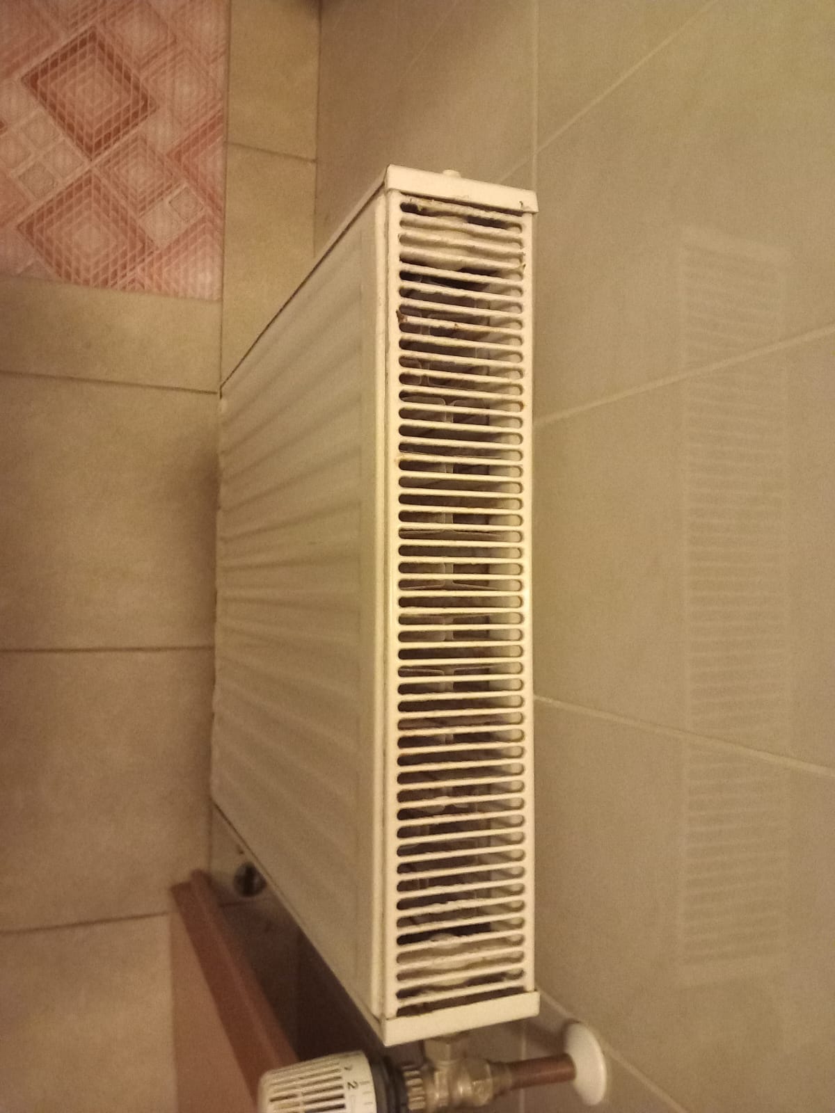 opc pensiunea uno mosnita noua (1)