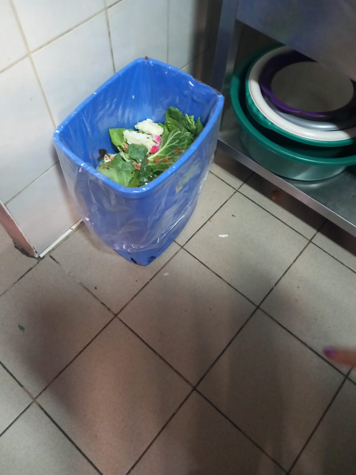 opc pensiunea uno mosnita noua (4)