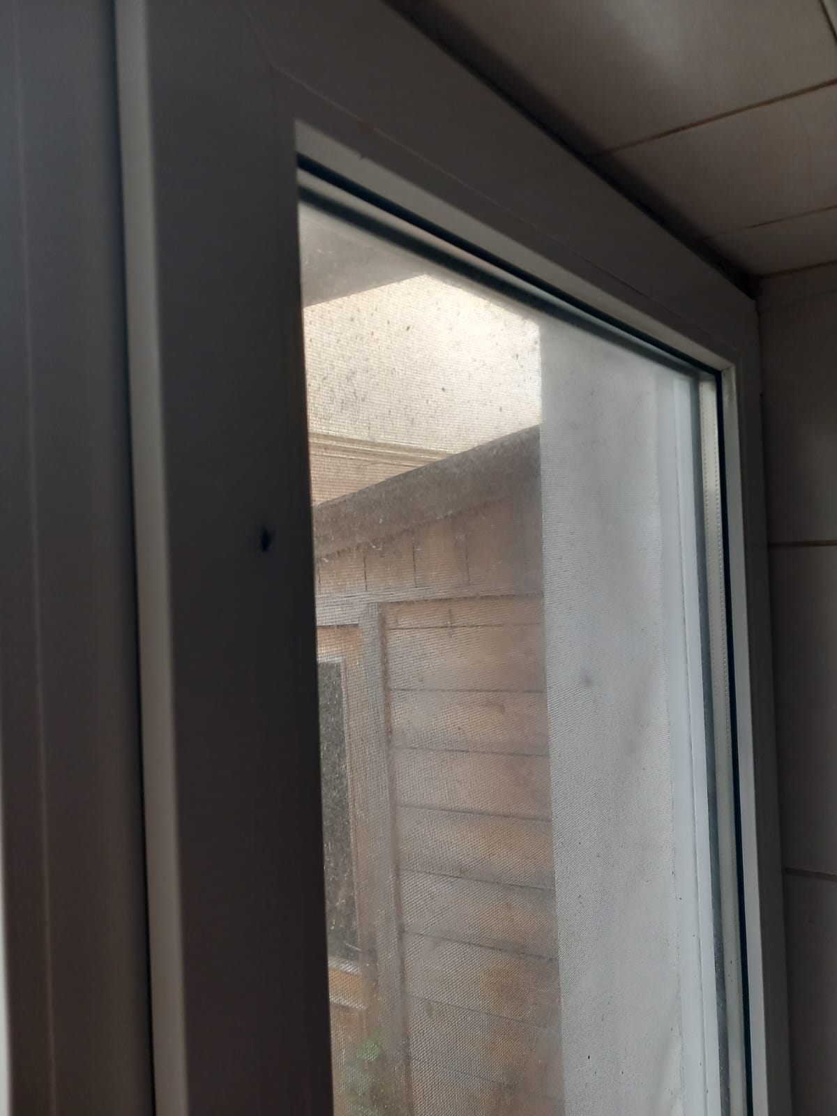 opc pensiunea uno mosnita noua (25)