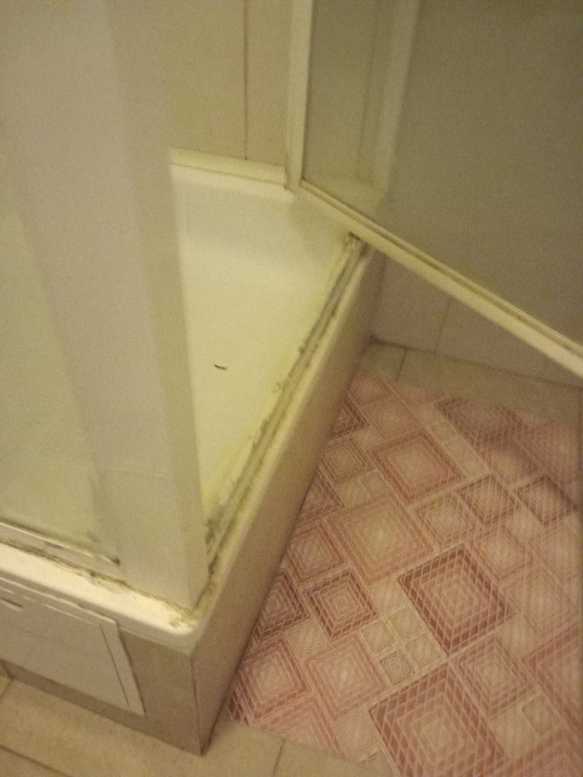 opc pensiunea uno mosnita noua (35)