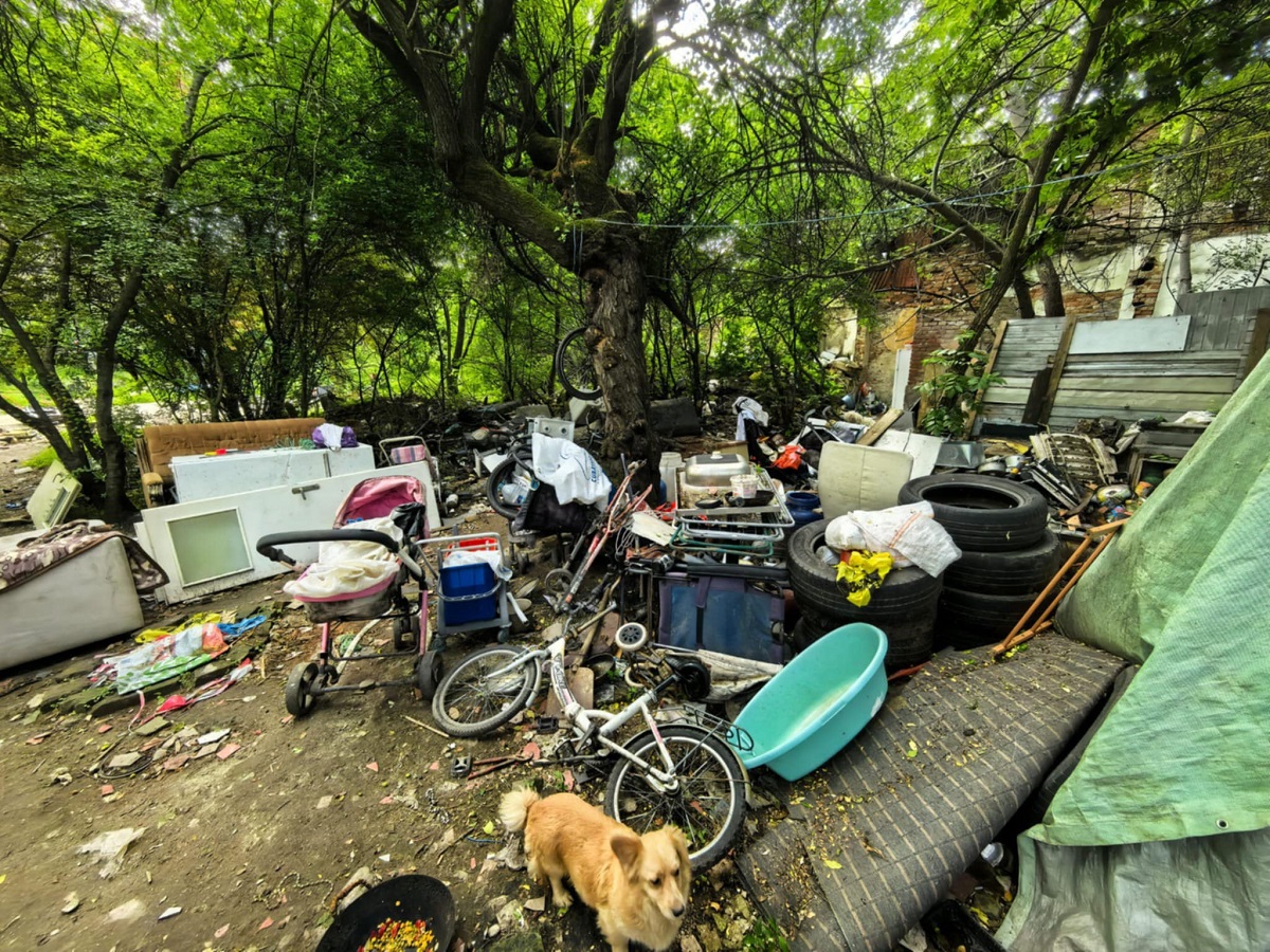 Pop de Băsești Poliția Locală (4)