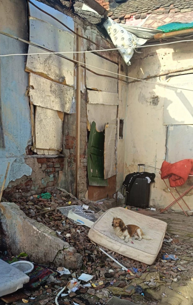 Pop de Băsești Poliția Locală (10)