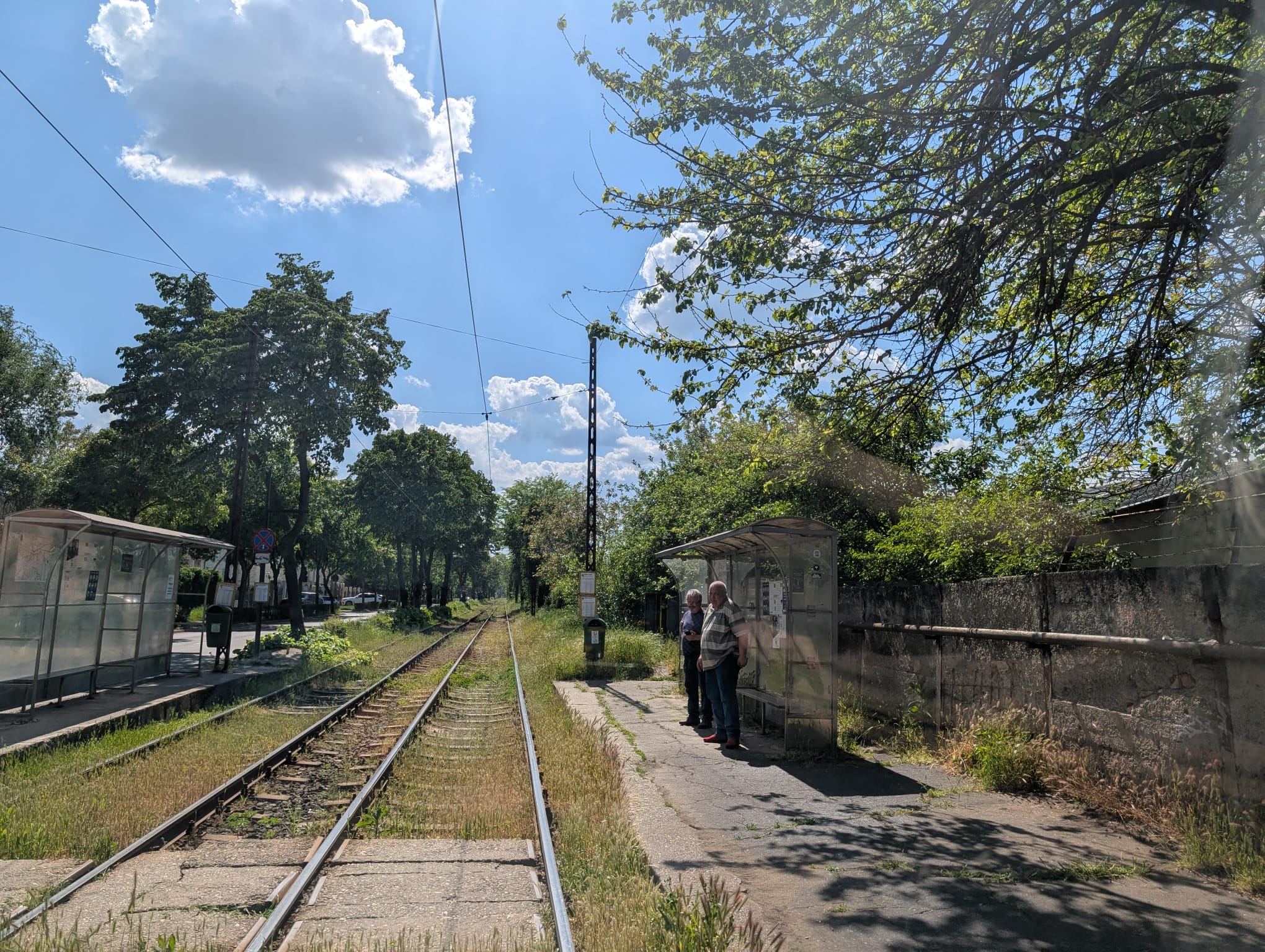 Timisoara din tramvai (12)