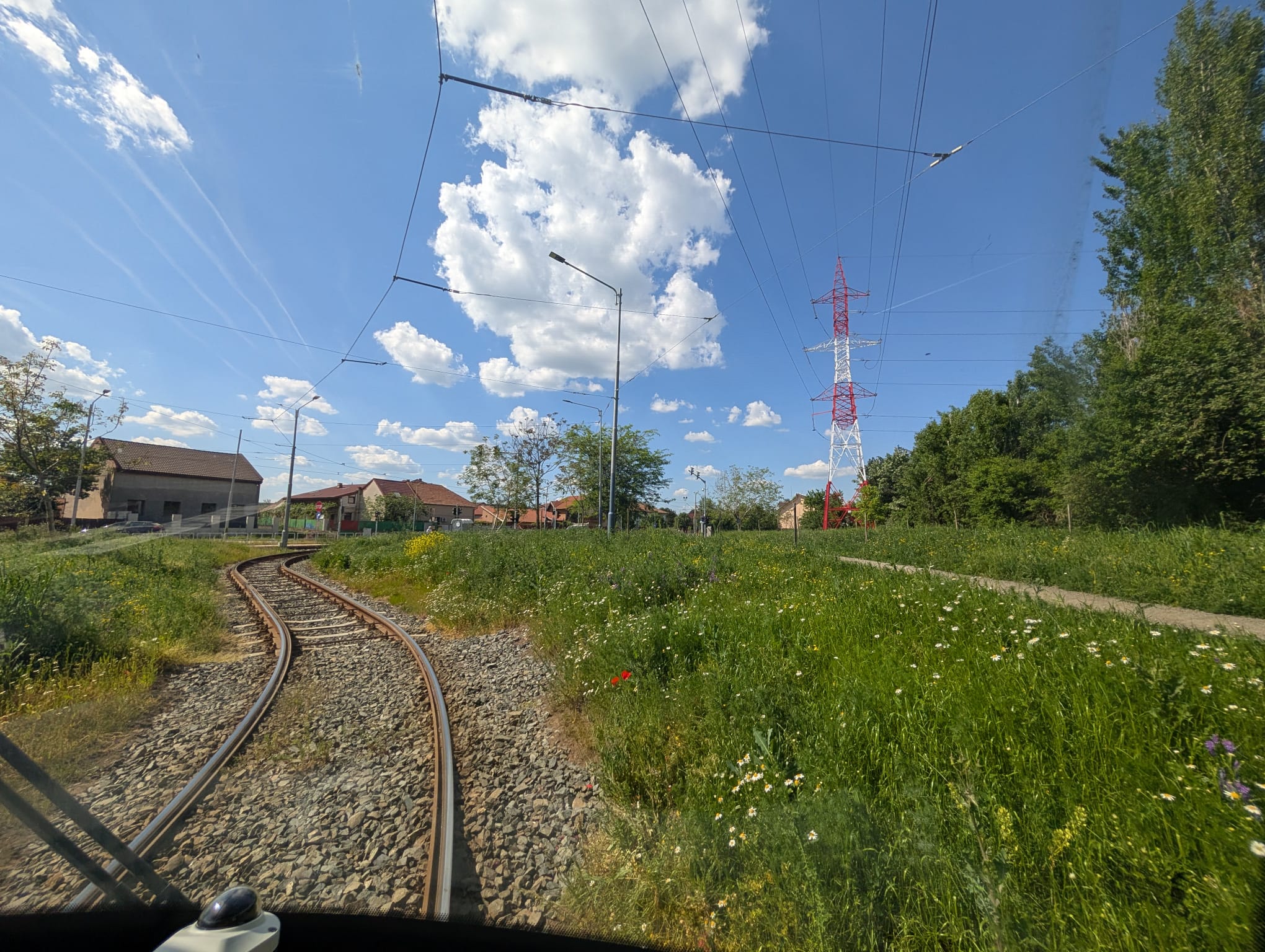 Timisoara din tramvai (27)