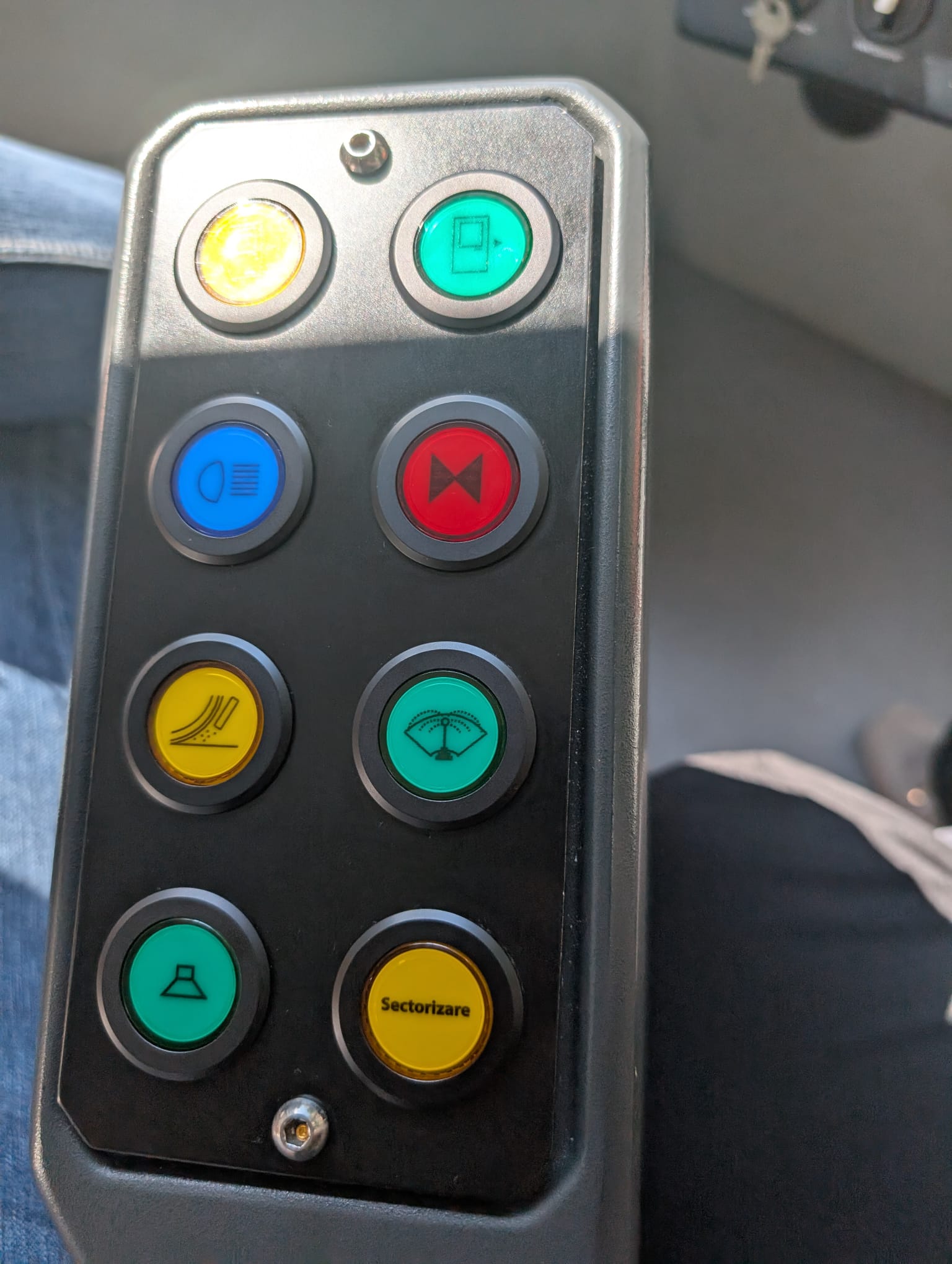 Maria Paun vatman (3)