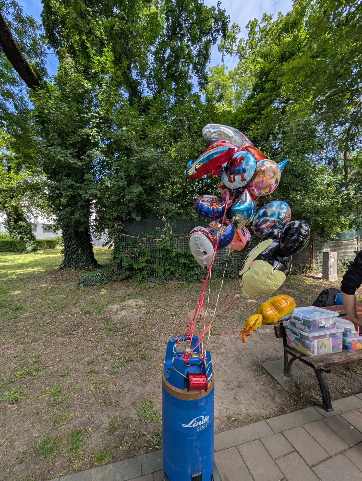 1 iunie parcul copiilor (20)