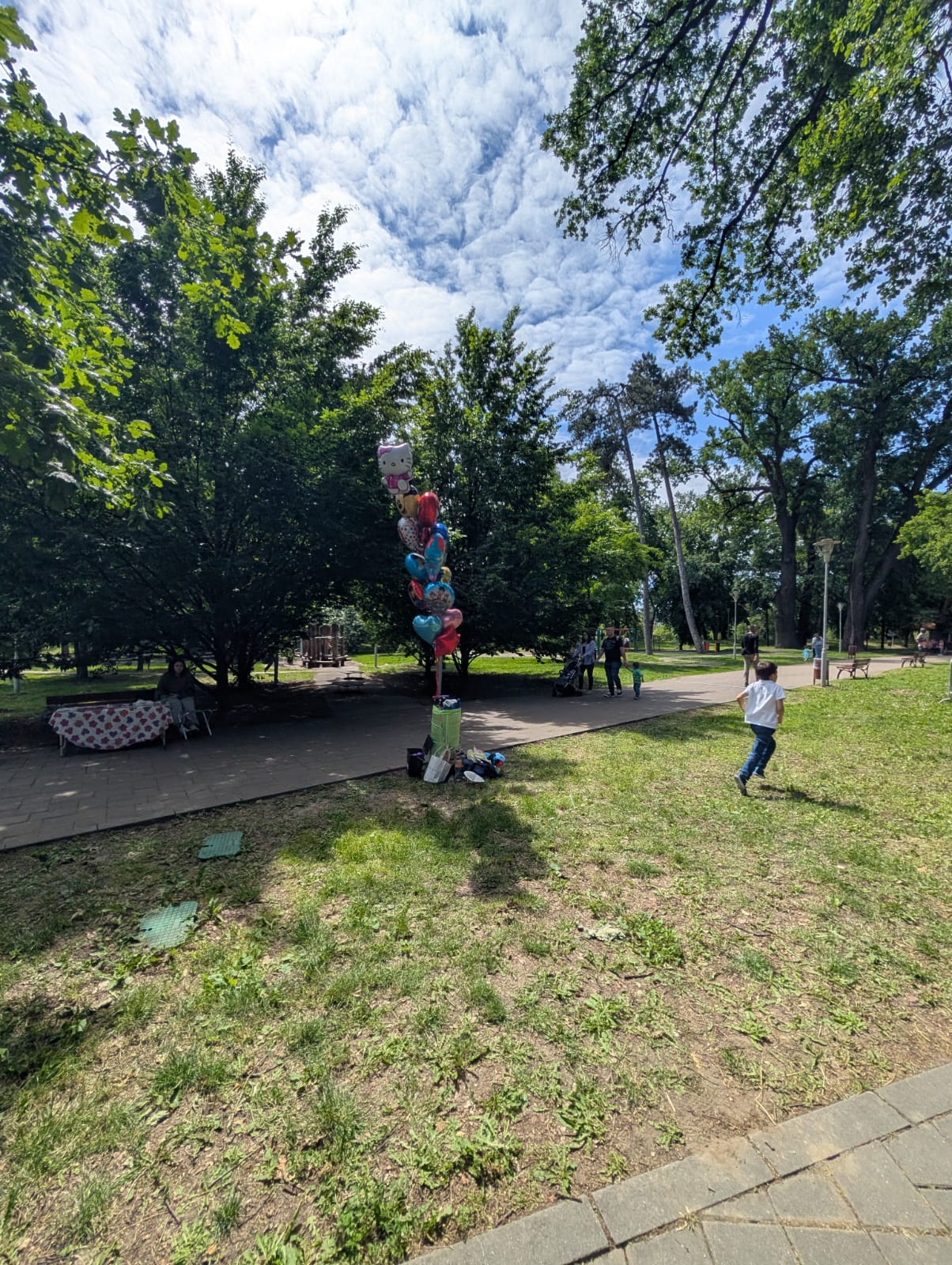 1 iunie parcul copiilor (21)