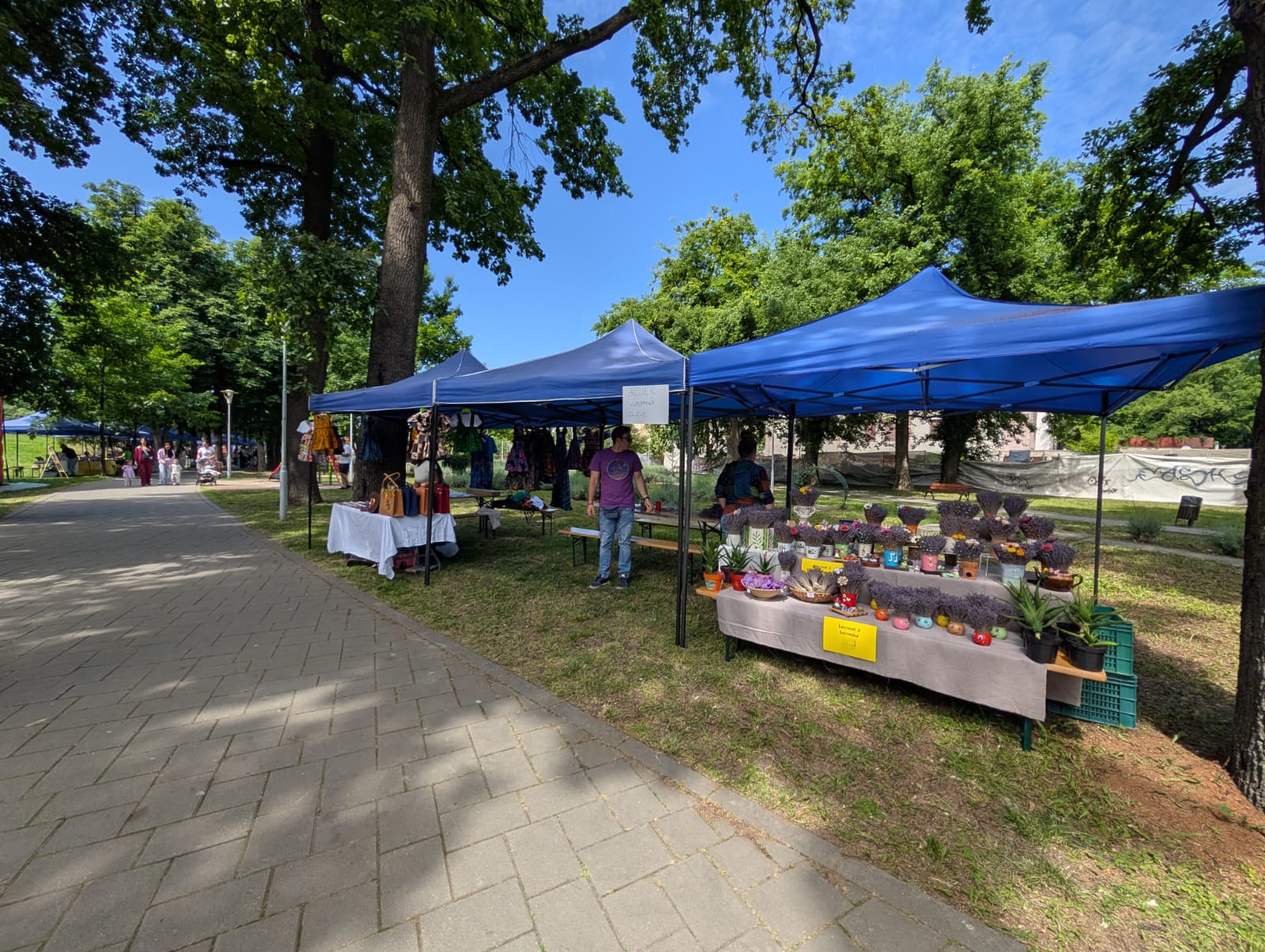 1 iunie parcul copiilor (22)