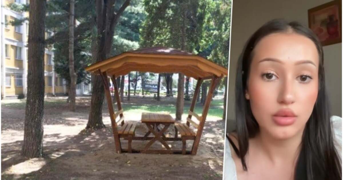 Scene șocante în Complexul Studențesc din Timișoara: un bărbat beat insultă o studentă Scene șocante în Complexul Studențesc din Timișoara: un bărbat beat insultă o studentă