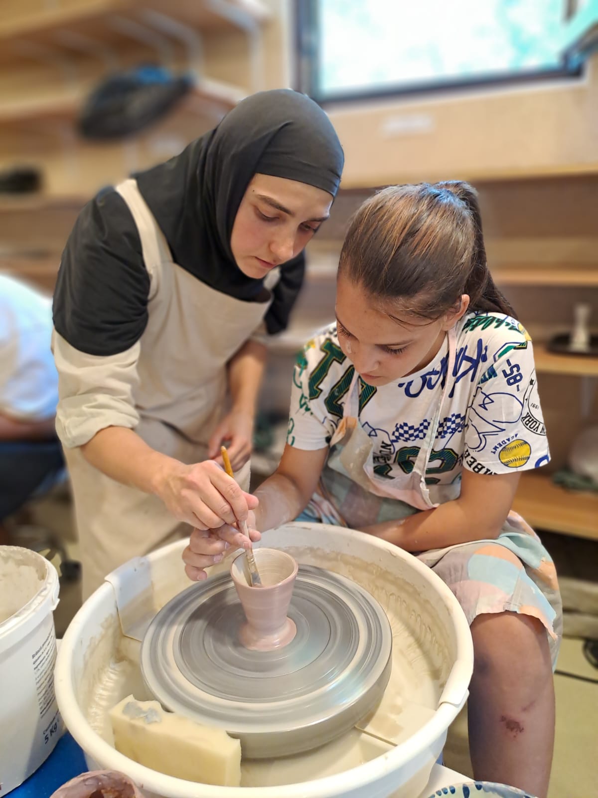 Angela Draghia asociatia inimi iti vorbeste (12)