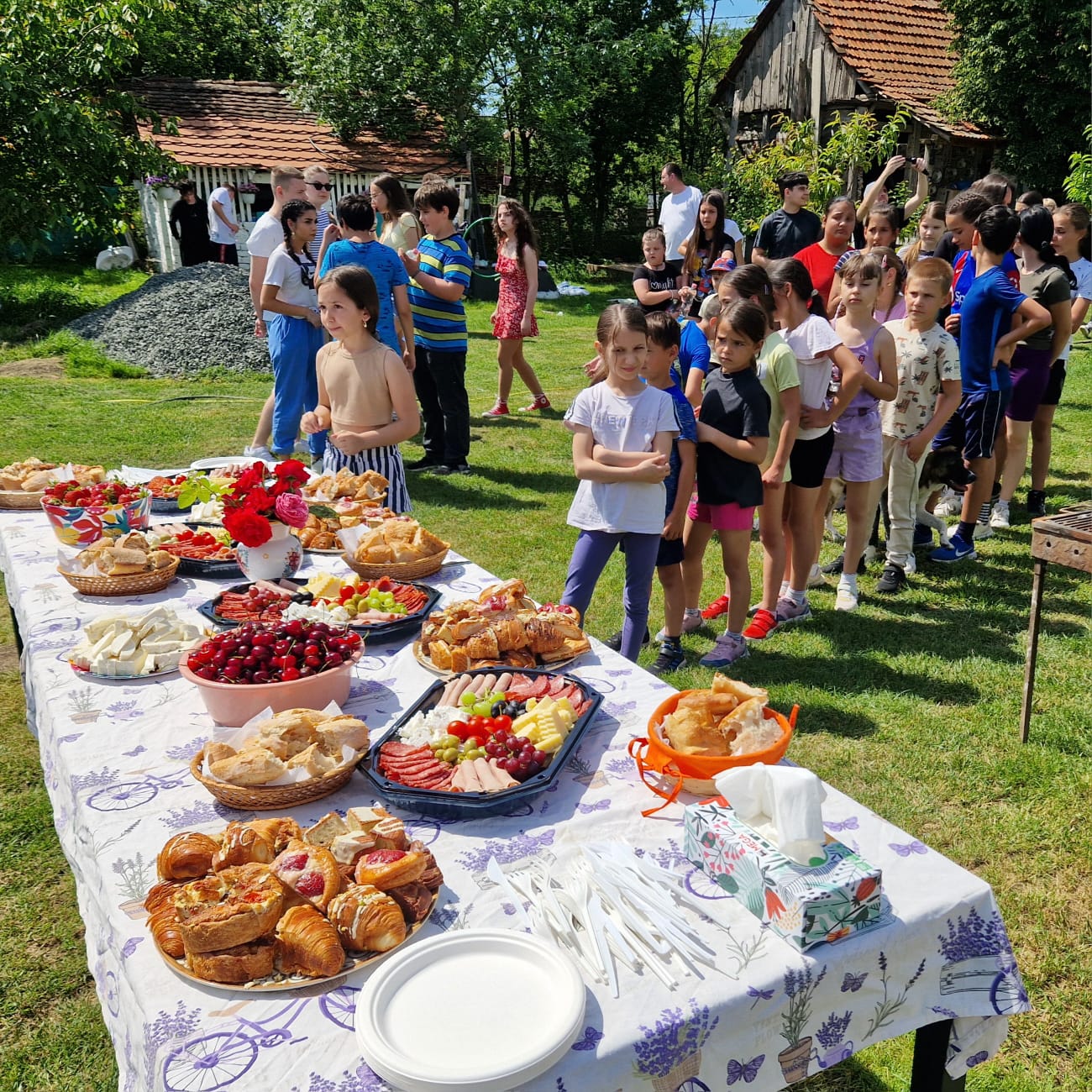 Angela Draghia asociatia inimi iti vorbeste (28)