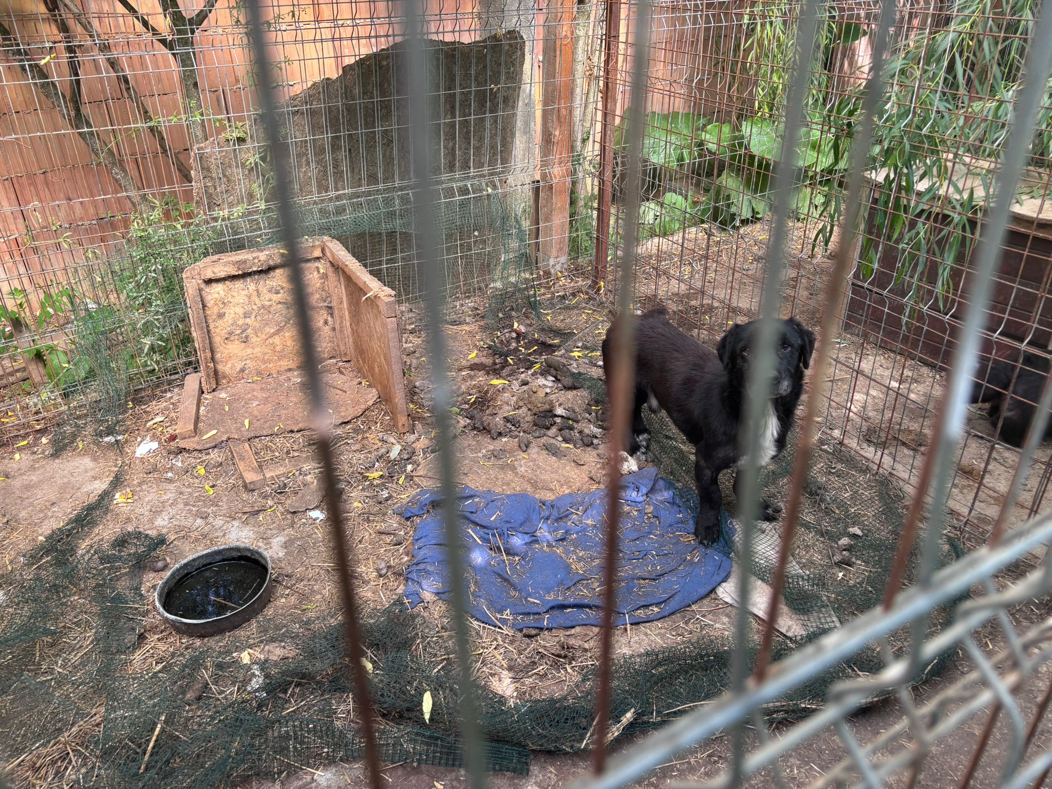 WhatsApp Image 2025-06-03 at 16.25.57 (2)